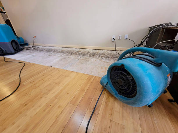 Professional Flood Damage Cleanup technician working in Boomer, WV